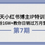 28天小红书博主IP特训营《第6+7期》4个月涨粉16W+教你日销过万月营收30万