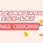 淘宝虚拟电商蓝海项目实战班+私教班：每天操作2小时，每月多赚5000+