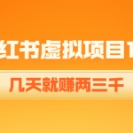 《小红书虚拟项目1.0》账号注册+养号+视频制作+引流+变现，几天就赚两三千