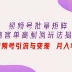 视频号批量矩阵的高客单高利润玩法揭秘： 视频号引流与变现 月入10W+