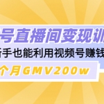 视频号直播间变现训练营：新手也能利用视频号赚钱，5个月GMV200w