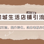 抖音同城生活店铺引流操课：快速引流，提升转化，实体老板必看！