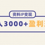 资料IP变现，能稳定日赚3000起的持续性盈利玩法