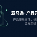 亚马逊·产品开发特训营：产品爆单方法，快速突破重围，全程实操！