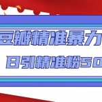 豆瓣精准暴力引流，日引精准粉500+【12视频课】