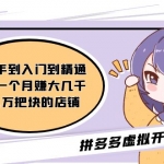 拼多多虚拟开店打卡群：新手到入门到精通（昨日群里有小伙伴日入3000+）