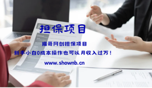 担保项目6出炉：当天操作，当天收益！现金流！非你莫属!