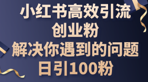 小红书高效引流创业粉，解决你遇到的问题，日引100粉