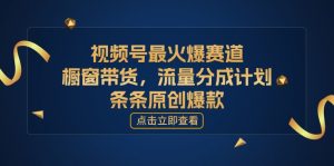 [你的孩子成功取得高位]视频号最火爆赛道，橱窗带货，流量分成计划，条…