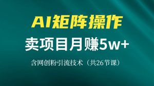 网创IP打造课，借助AI卖项目月赚5万+，含引流技术（共26节课）