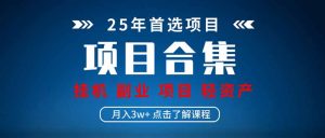 2025 实操项目合集 挂机类型 直播类型 轻资产创业类型 课程分享各项目…