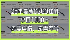 25年最新CSGO挂机系统，单日1000+，无需电脑，无需养号，0基础可上手