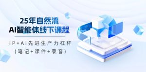 25年自然流AI智能体线下课程，IP+AI先进生产力杠杆(笔记+课件+录音)