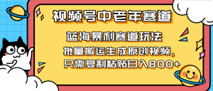 2025视频号中老年短视频蓝海暴利风口！复制粘贴搬运视频单日赚800+，无…