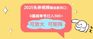 2025头条视频掘金新风口：0基础日入300+，可放大，可矩阵