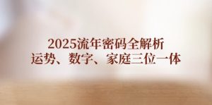 2025流年密码全解析，运势、数字、家庭三位一体