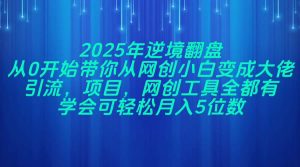2025年逆境翻盘，从0开始带你从网创小白变成大佬，引流，项目，网创工…