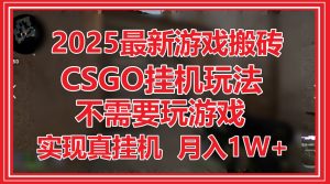 2025最新游戏搬砖，CSGO挂机，不需要玩游戏，实现真挂机，月入1W+