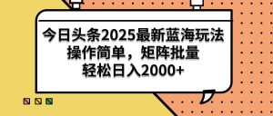 今日头条2025最新蓝海玩法，操作简单，矩阵批量，轻松日入2000+