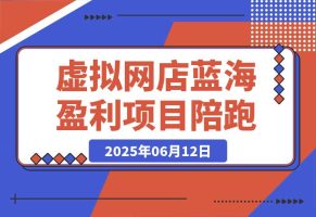 AI虚拟网店蓝海盈利项目陪跑课