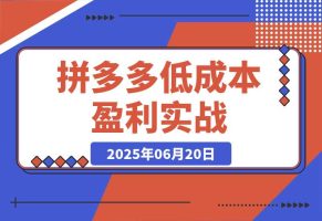 拼多多低成本盈利实战，类目选择与定价策略，高权重产品上架实操